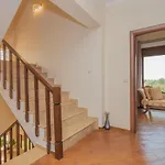 Villa Emma's Luxury Pastida